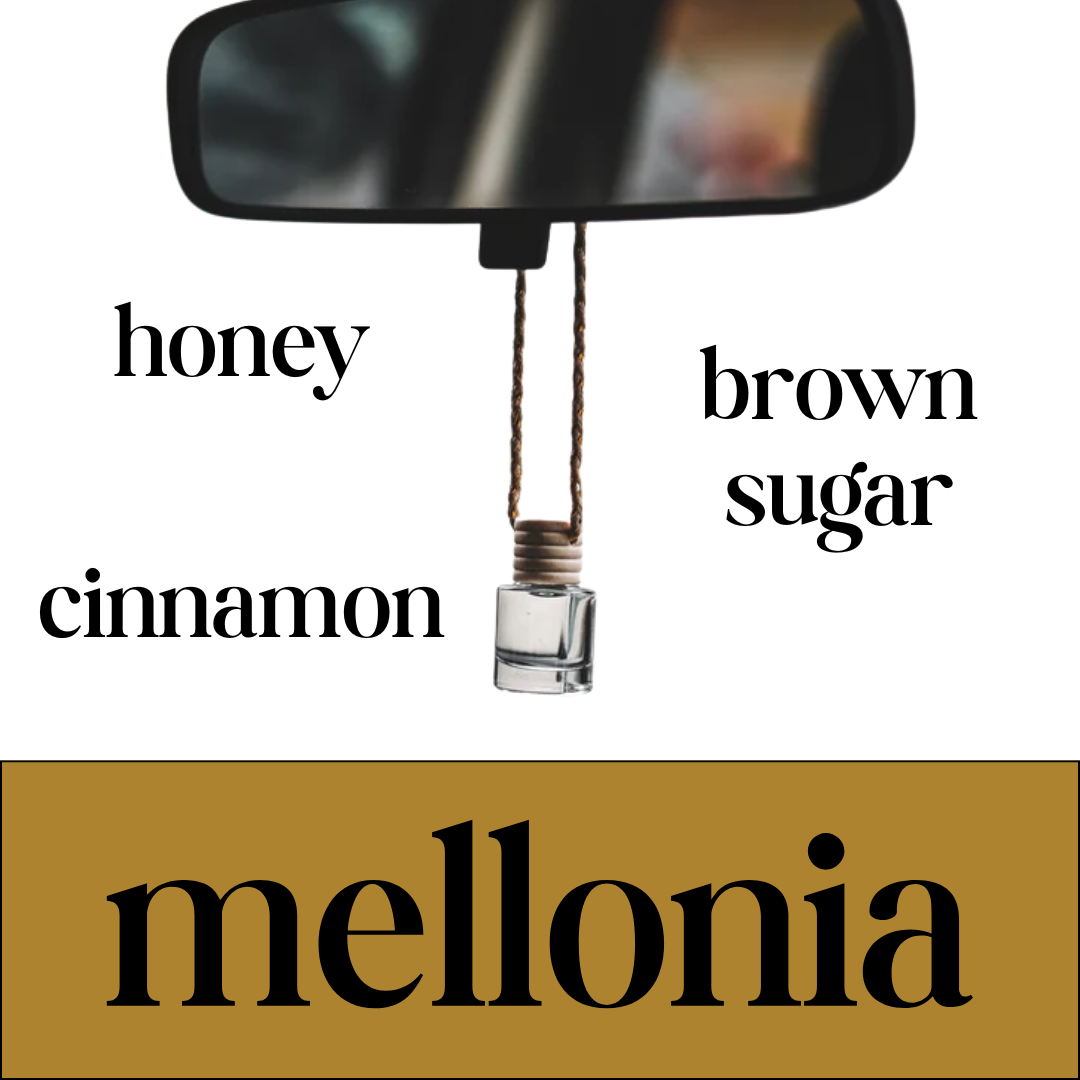 mellonia car diffuser | honey + cinnamon sugar